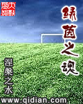 绿茵之魂